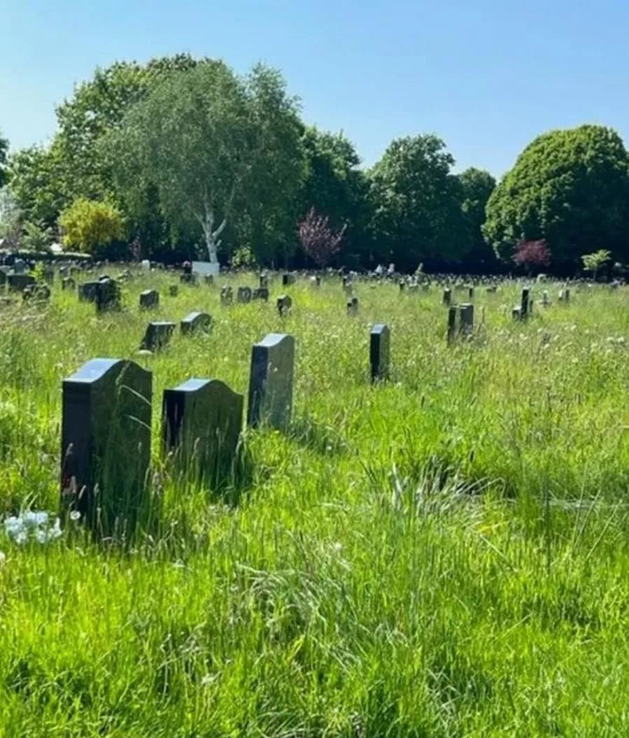 Gravestone Clearing