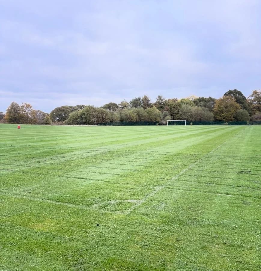 Sports pitch stripe cut